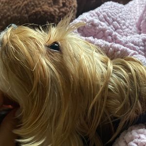 Meet your Posher, Brenda